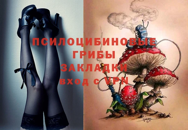 индика Аркадак