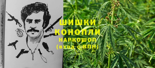 индика Аркадак