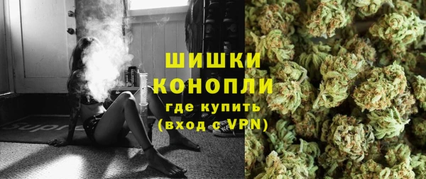 индика Аркадак