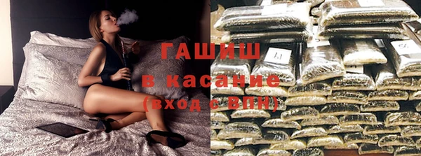 индика Аркадак